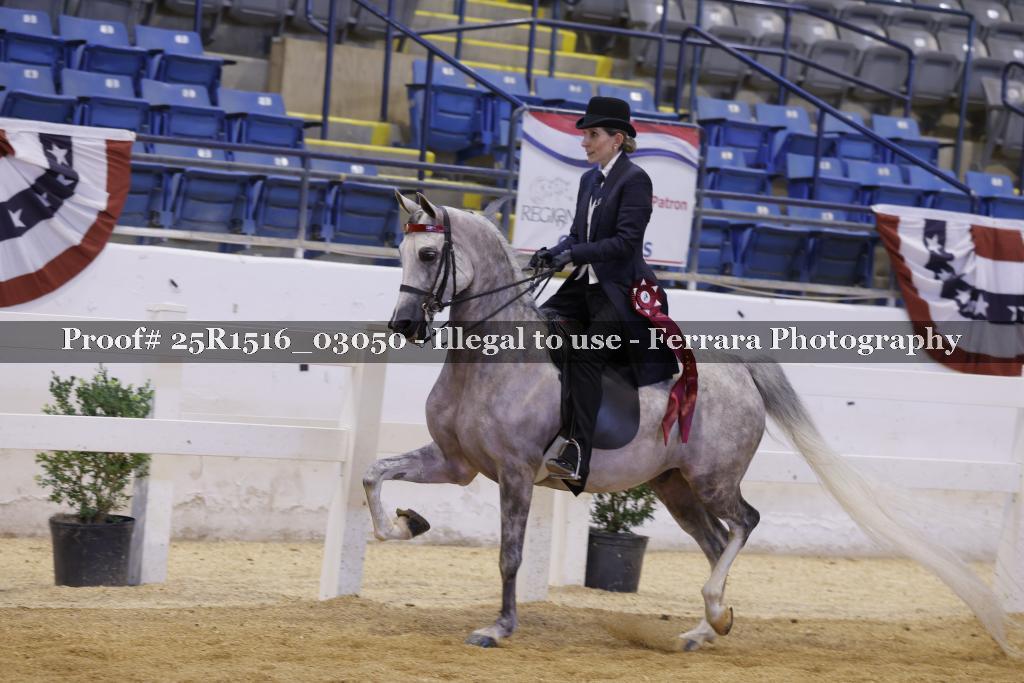 Proof 25R1516_03050