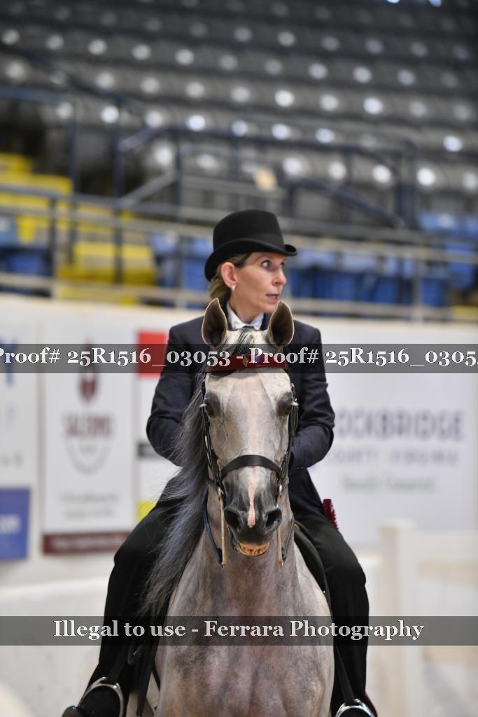 Proof 25R1516_03053