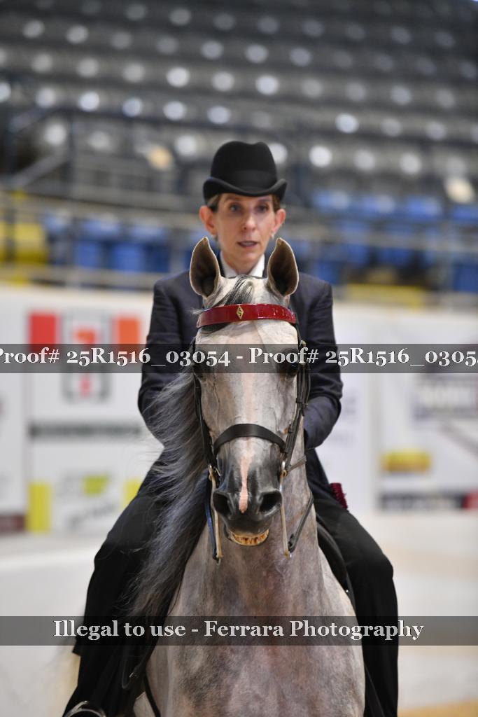 Proof 25R1516_03054