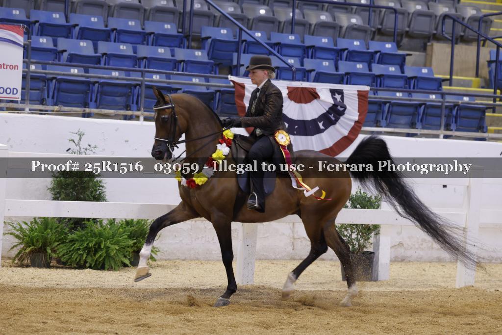 Proof 25R1516_03059