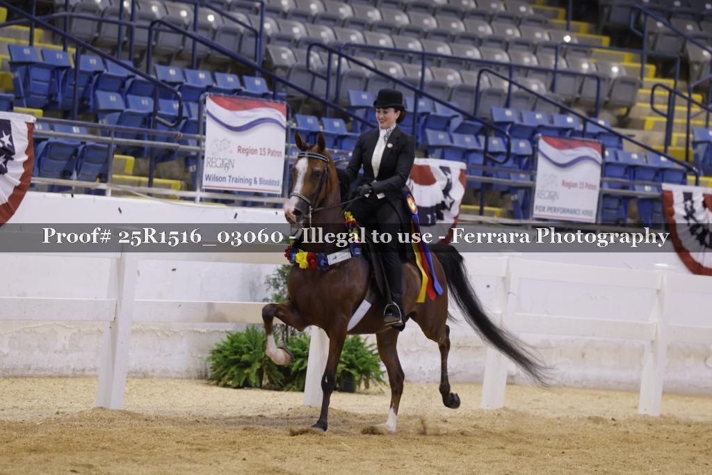 Proof 25R1516_03060