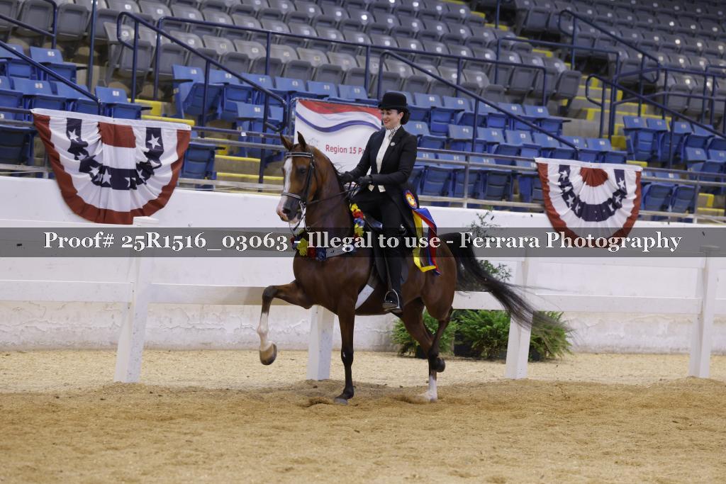 Proof 25R1516_03063