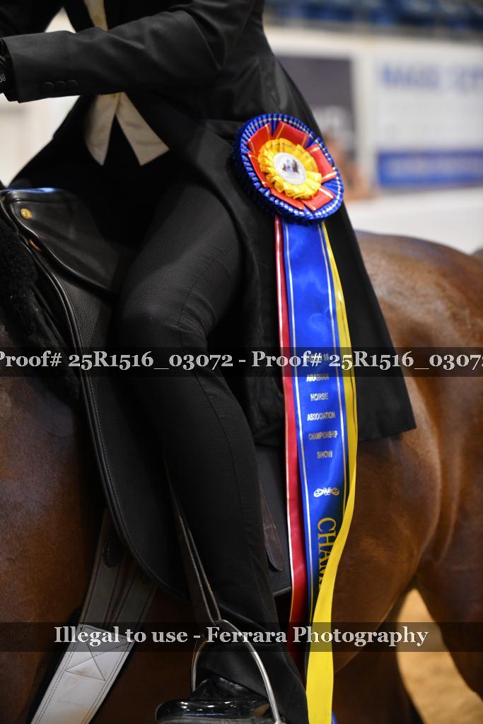 Proof 25R1516_03072