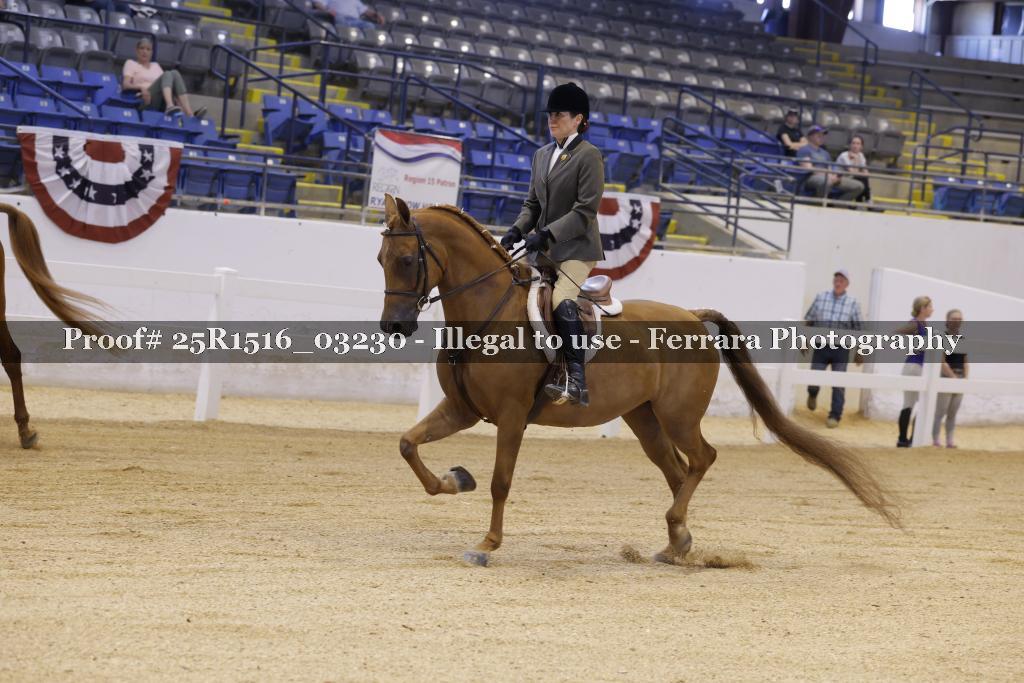 Proof 25R1516_03230