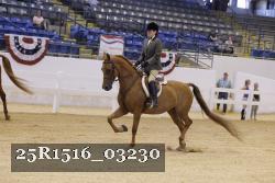 25R1516_03230 proof