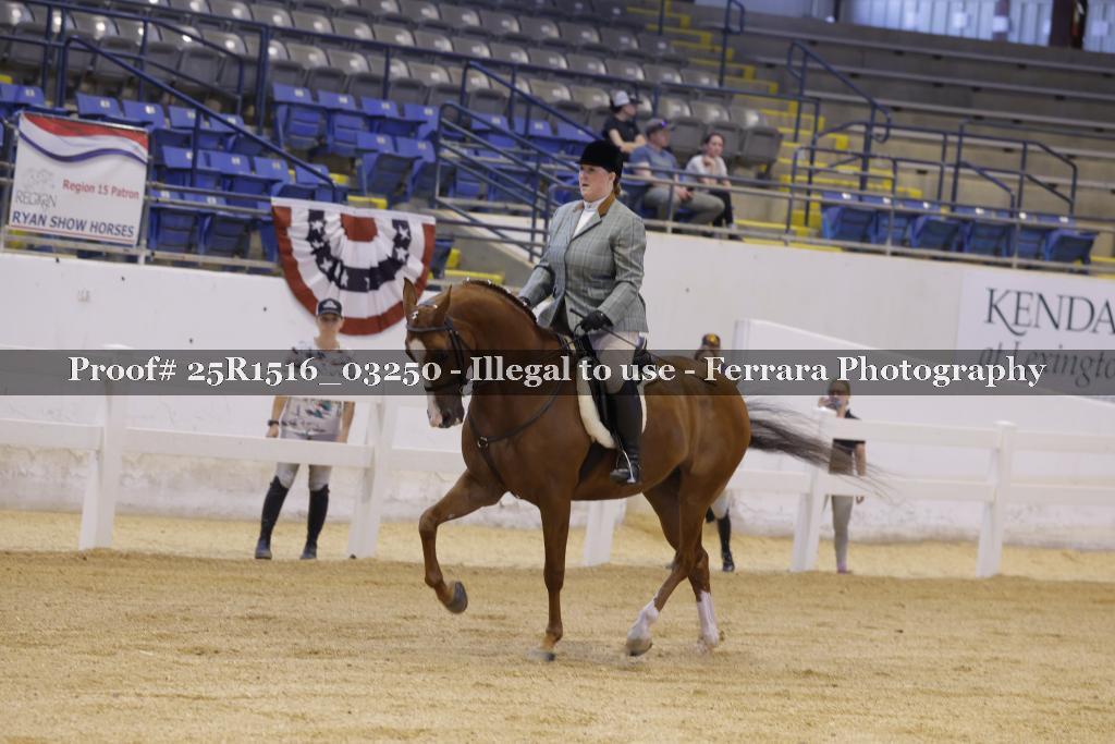 Proof 25R1516_03250