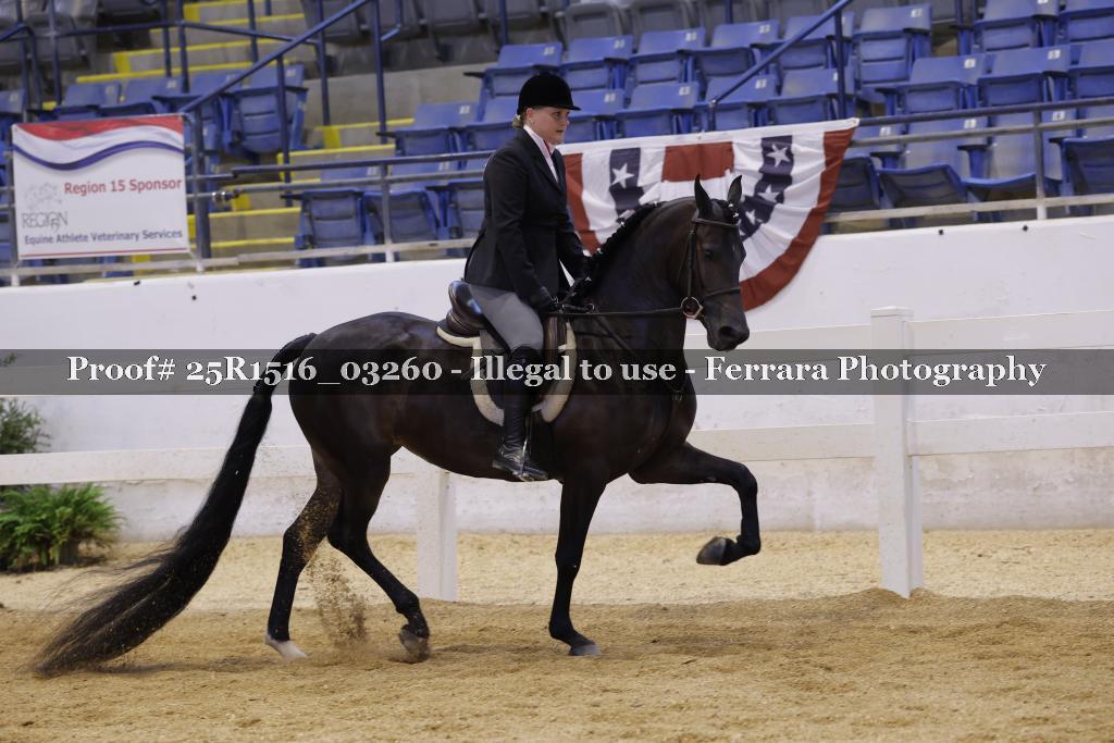 Proof 25R1516_03260