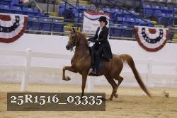 25R1516_03335 proof