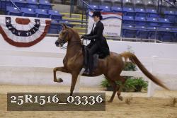 25R1516_03336 proof