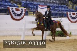 25R1516_03340 proof