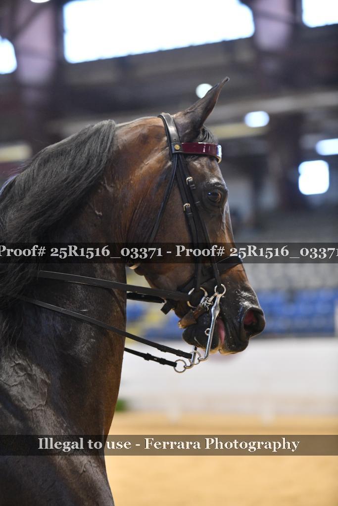 Proof 25R1516_03371