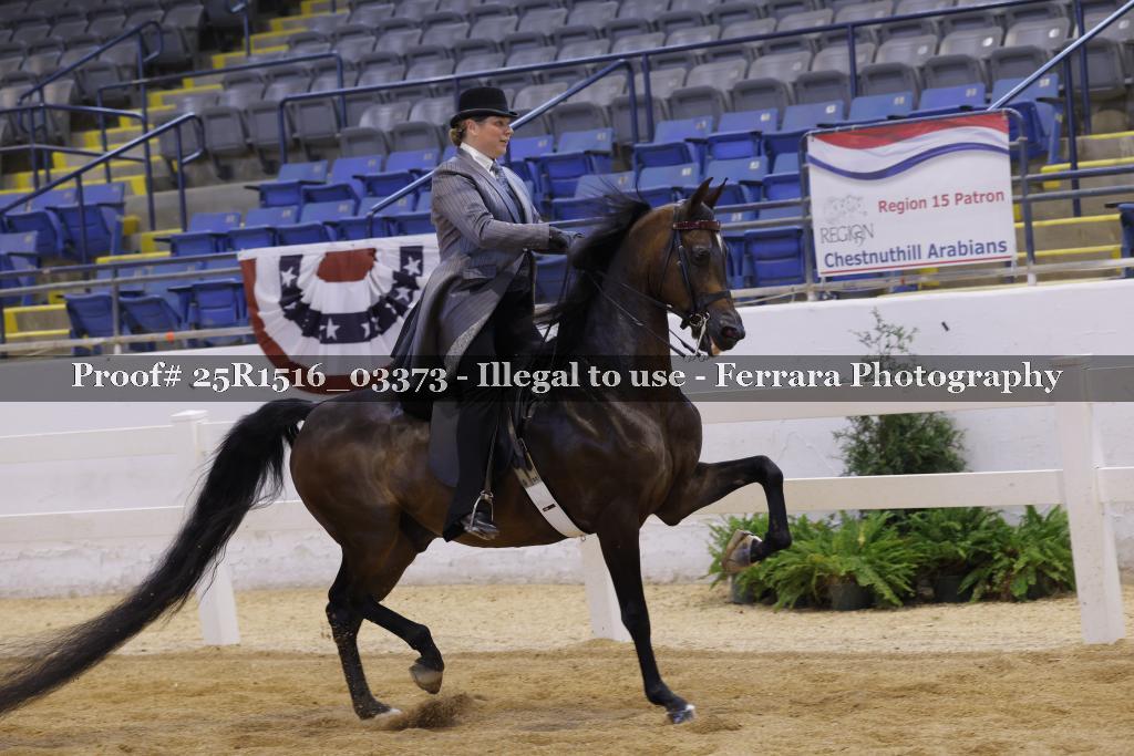 Proof 25R1516_03373