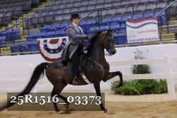 25R1516_03373 proof