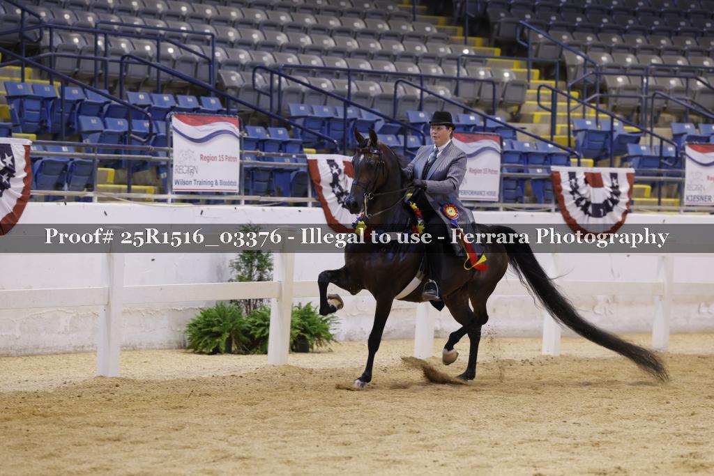 Proof 25R1516_03376