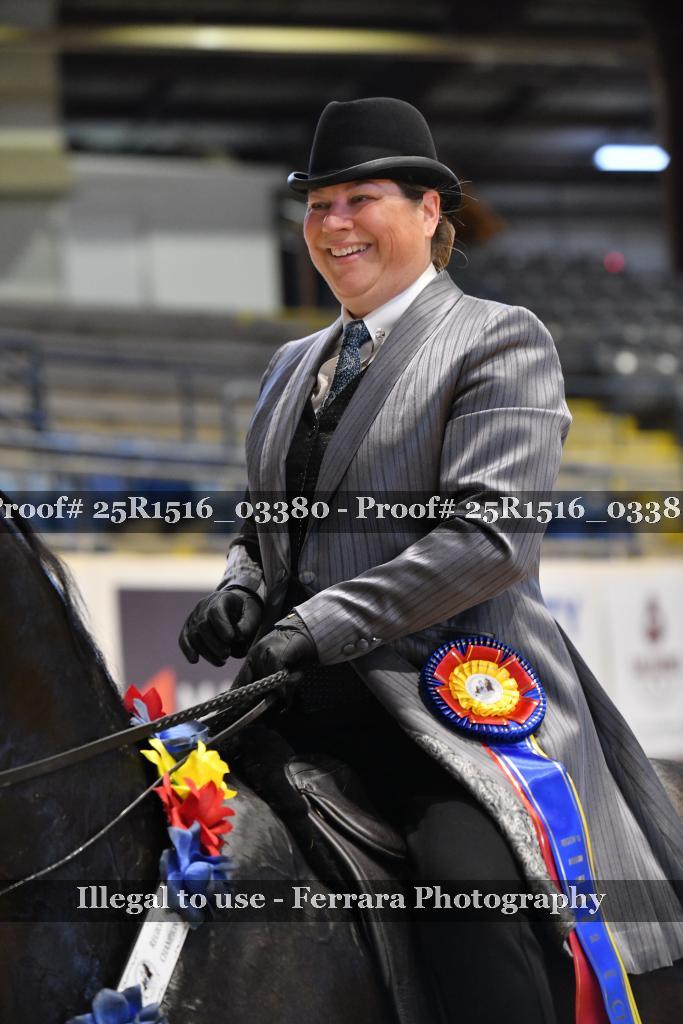 Proof 25R1516_03380