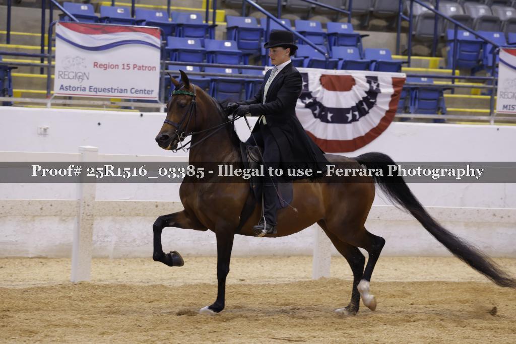 Proof 25R1516_03385