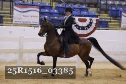 25R1516_03385 proof