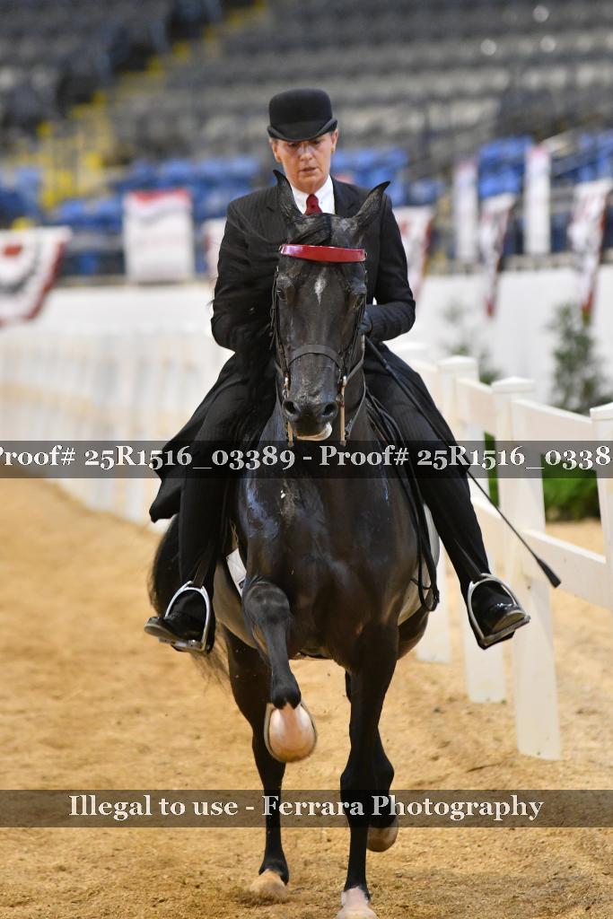 Proof 25R1516_03389