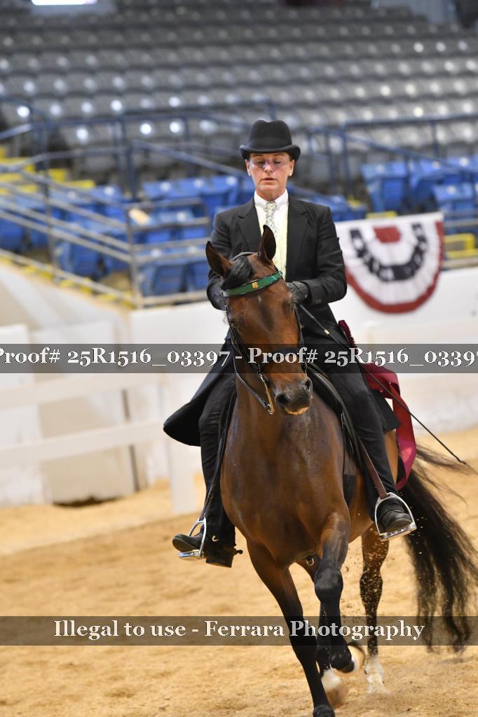 Proof 25R1516_03397
