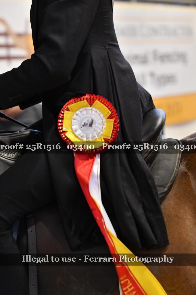 Proof 25R1516_03400