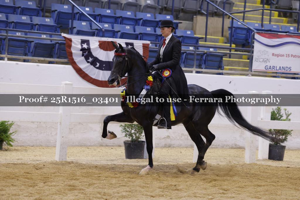 Proof 25R1516_03401