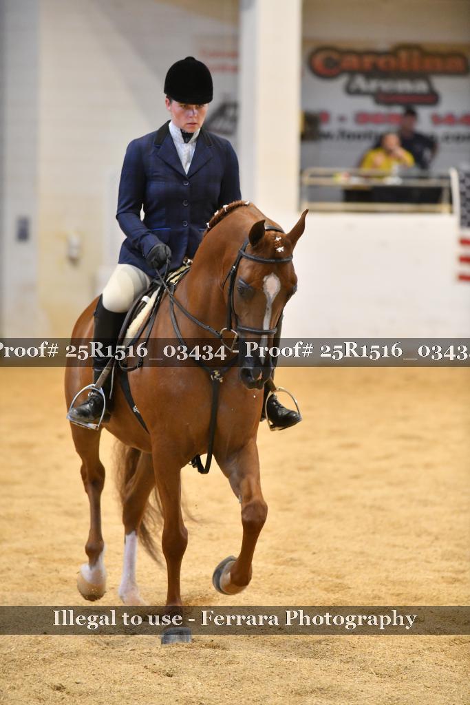 Proof 25R1516_03434