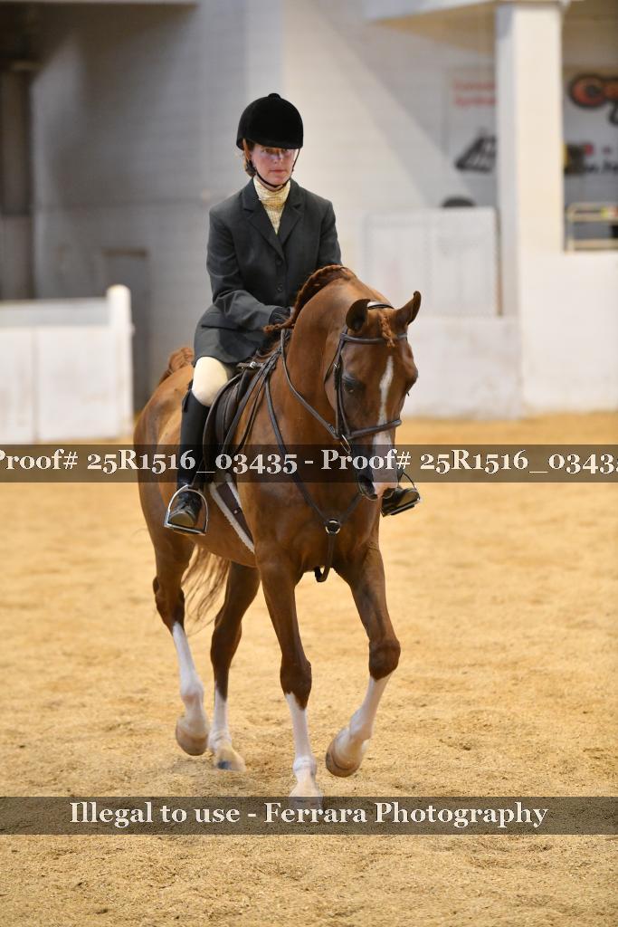 Proof 25R1516_03435