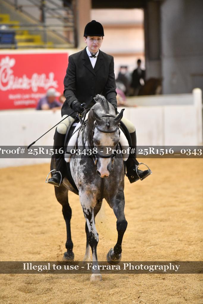 Proof 25R1516_03438