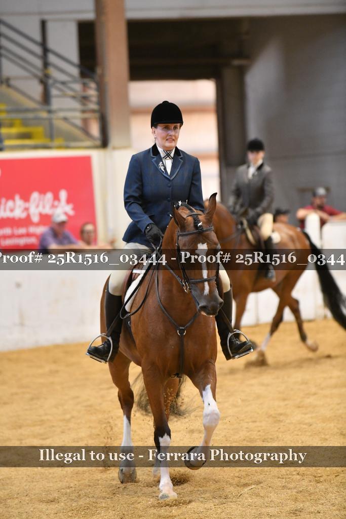 Proof 25R1516_03444