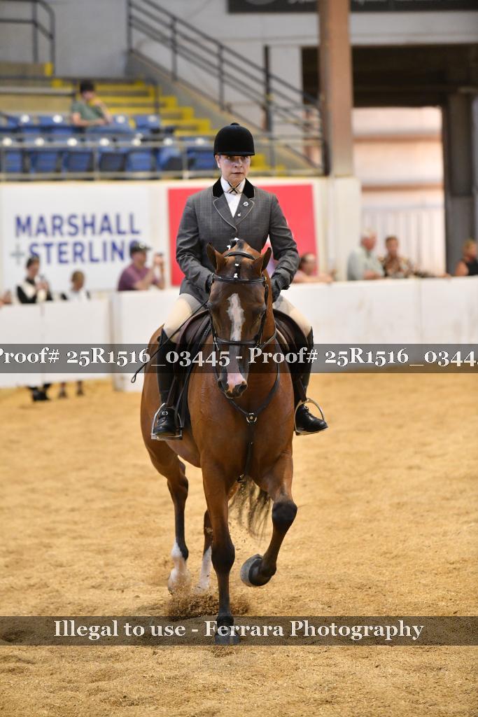 Proof 25R1516_03445