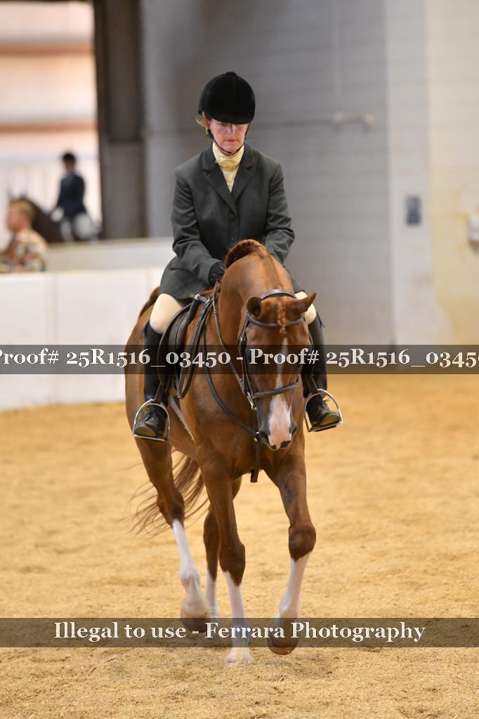 Proof 25R1516_03450