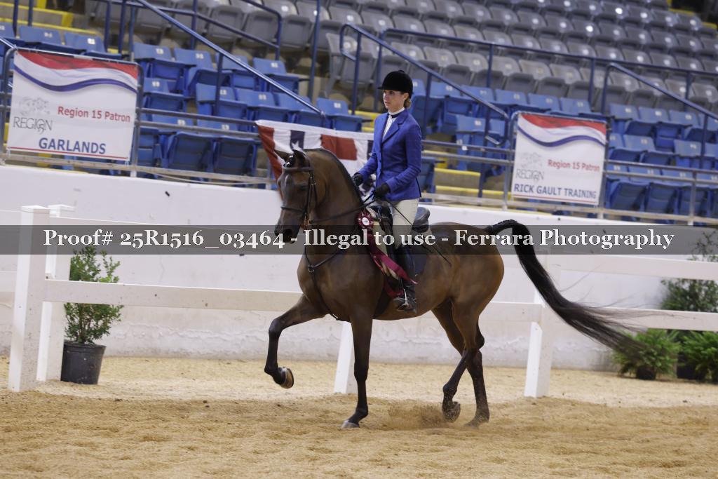 Proof 25R1516_03464