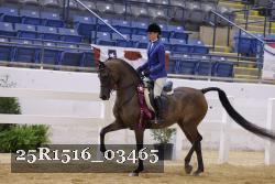 25R1516_03465 proof