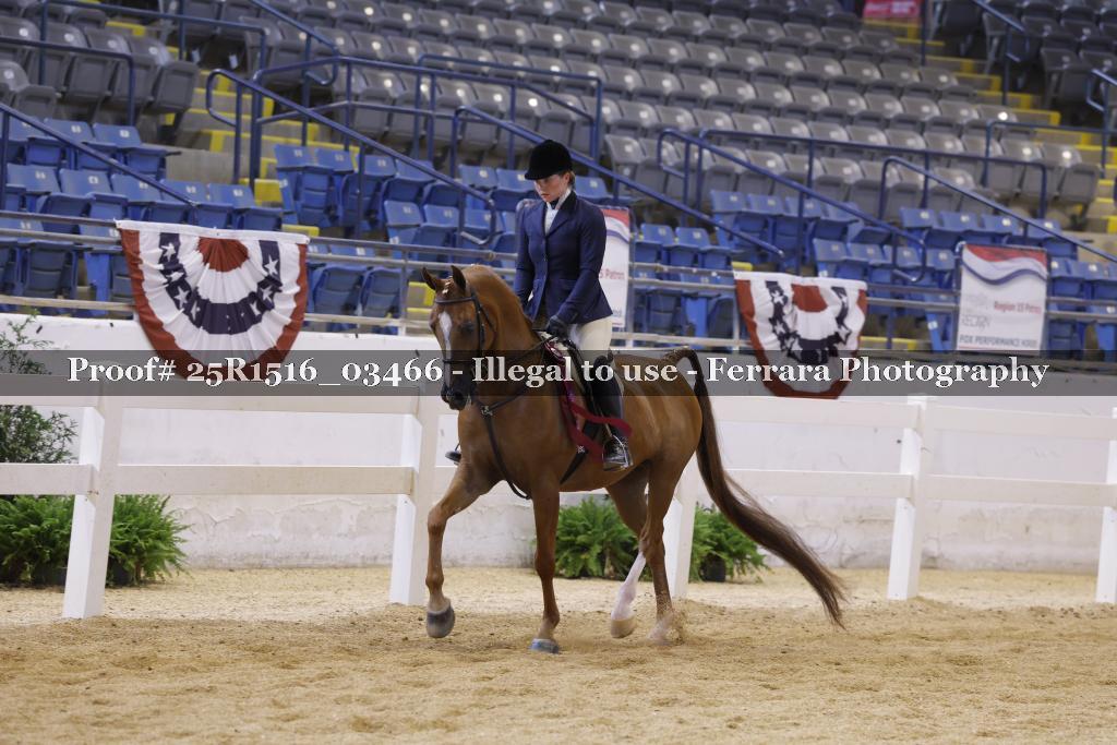 Proof 25R1516_03466