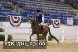 25R1516_03466 proof