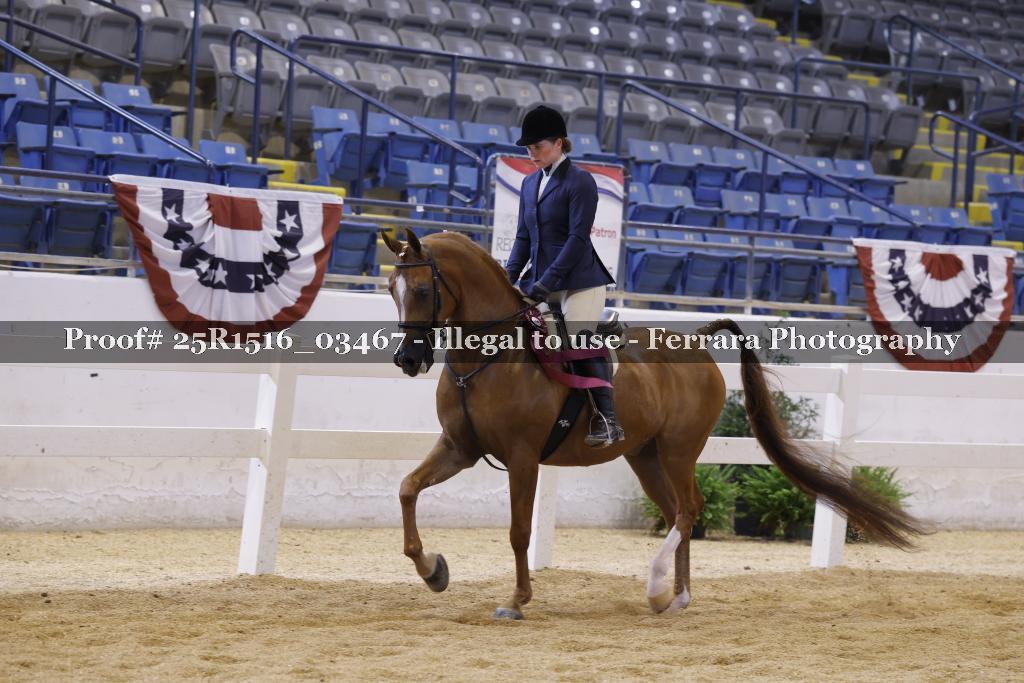 Proof 25R1516_03467