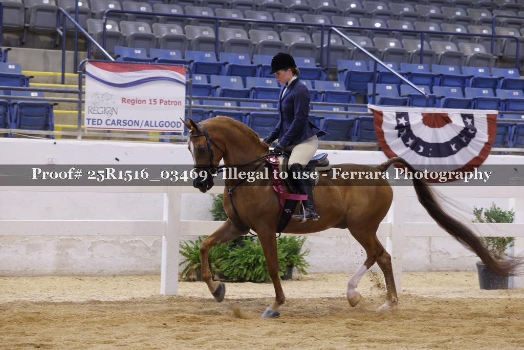 Proof 25R1516_03469