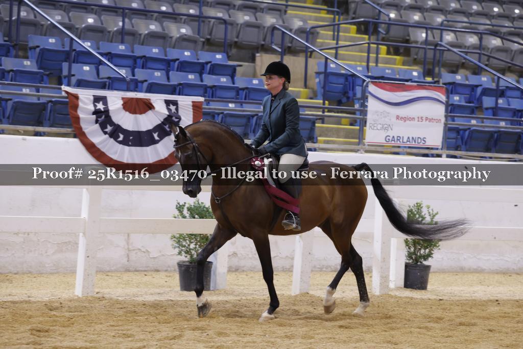 Proof 25R1516_03470
