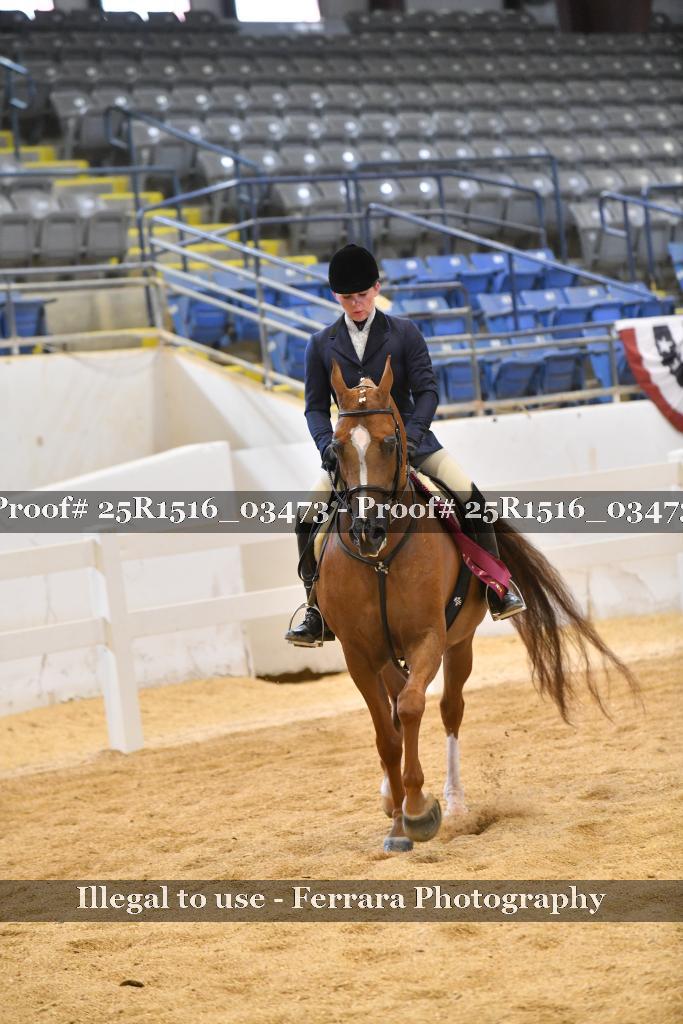 Proof 25R1516_03473