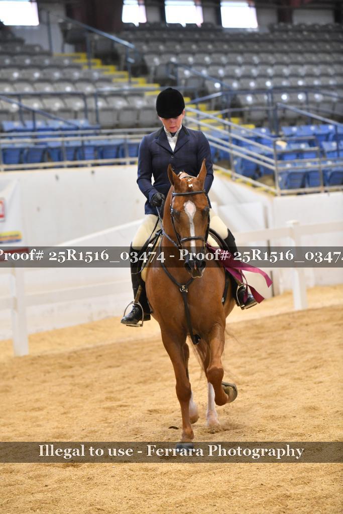 Proof 25R1516_03474