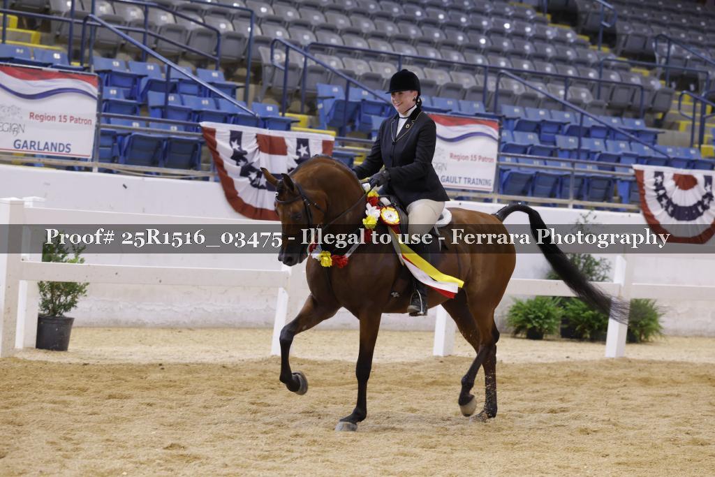 Proof 25R1516_03475