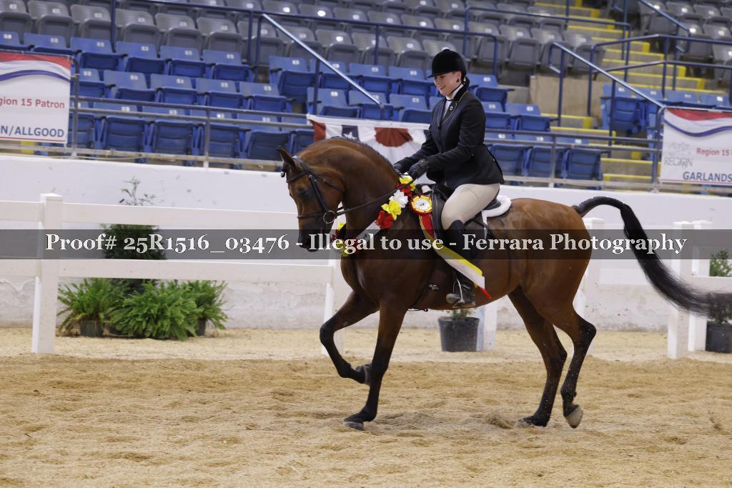 Proof 25R1516_03476