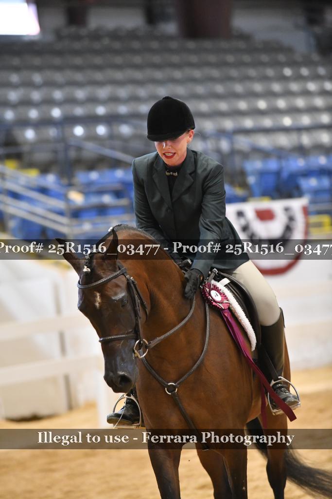 Proof 25R1516_03477