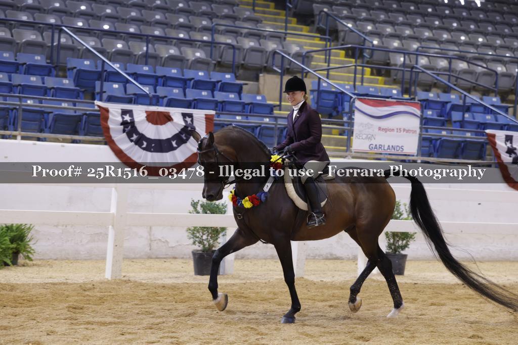 Proof 25R1516_03478