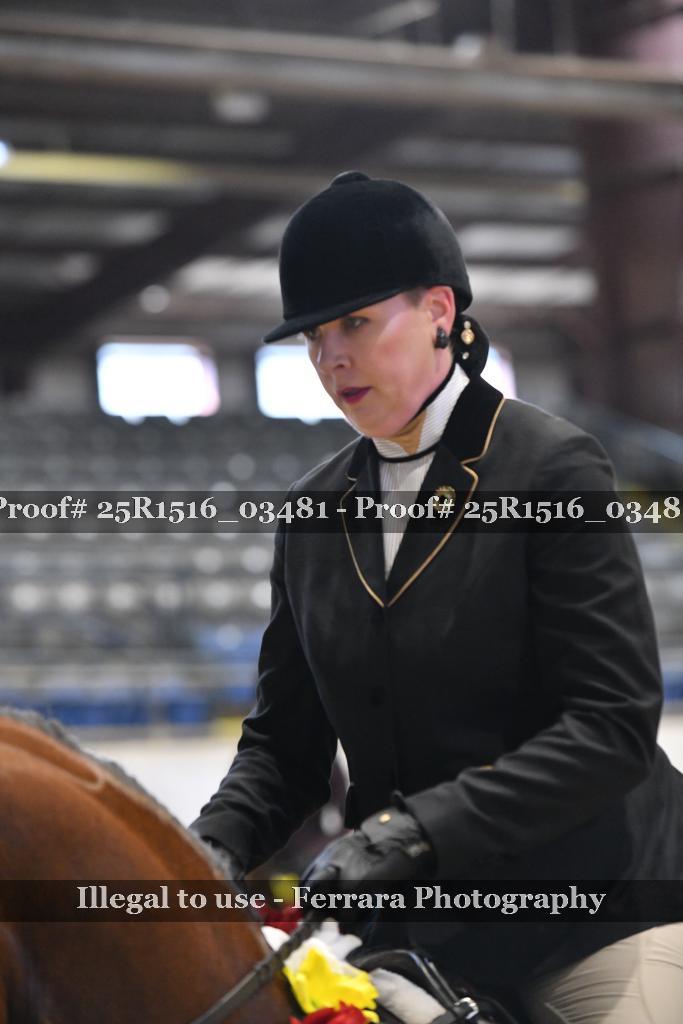 Proof 25R1516_03481