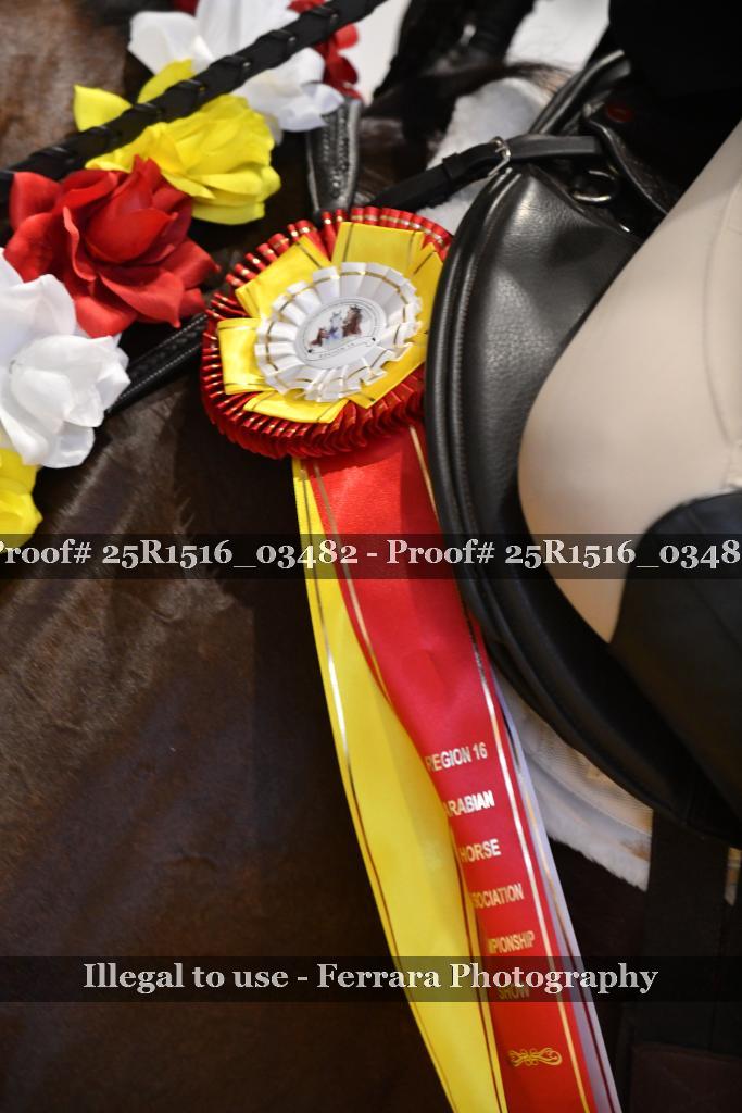 Proof 25R1516_03482