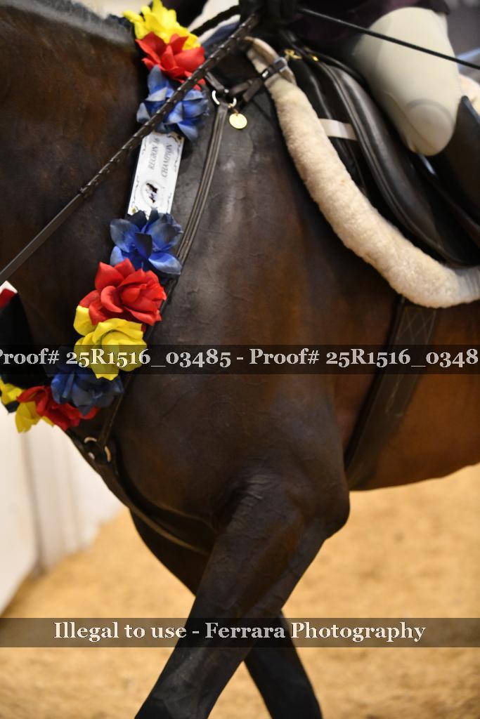 Proof 25R1516_03485