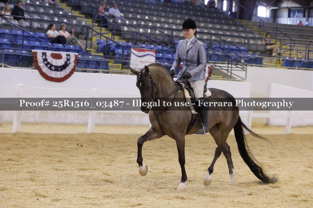 Proof 25R1516_03487
