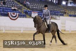 25R1516_03487 proof