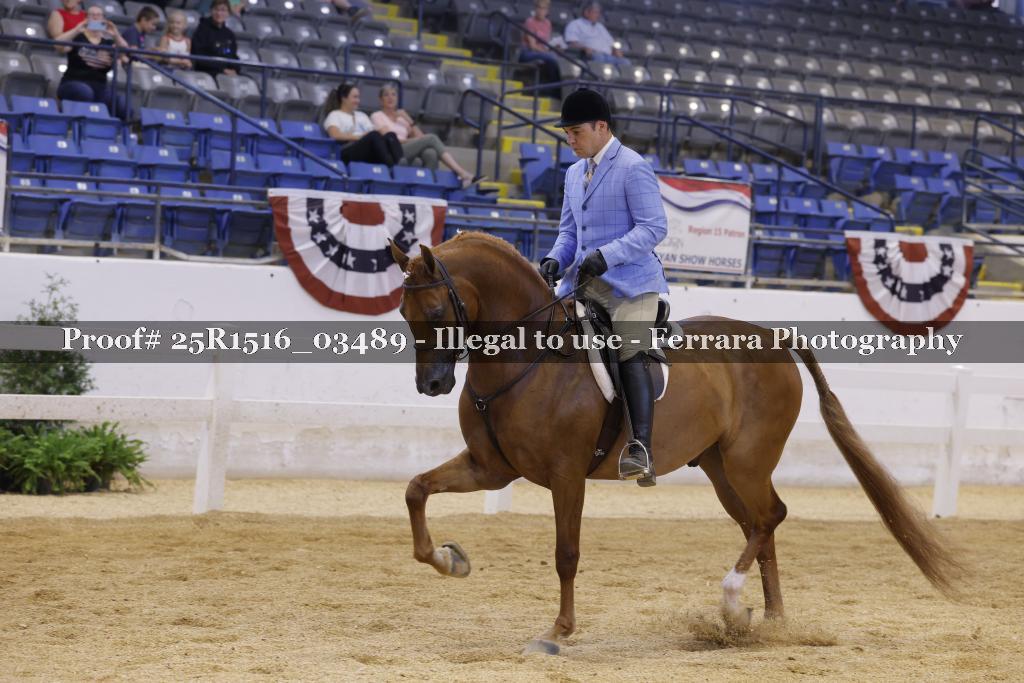 Proof 25R1516_03489